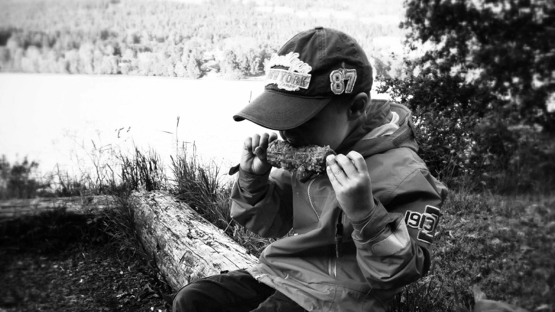 Nisteplassen (KLP idékonkurranse)